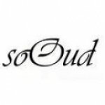  SoOud