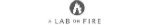 A Lab on Fire(  )