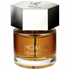 Заказать мужскую парфюмерию L`Homme Parfum Intense 4094 L`Homme Parfum Intense 4094 фото