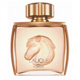 Pour Homme Equus 722 