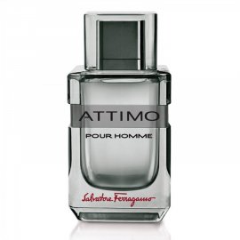 Заказать мужскую парфюмерию Attimo Pour Homme 948 Attimo Pour Homme 948 фото