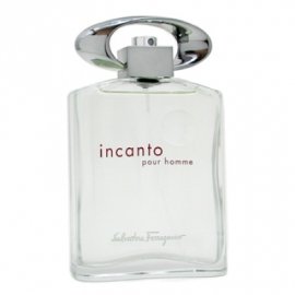 Заказать мужскую парфюмерию Incanto Pour Homme 1906 Incanto Pour Homme 1906 фото