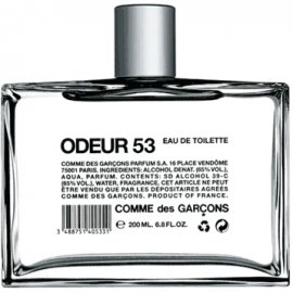 Заказать парфюмерию унисекс Odeur 53 2052 Odeur 53 2052 фото