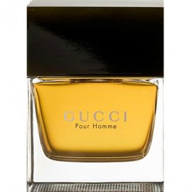 Заказать мужскую парфюмерию Gucci Pour Homme 2487 Gucci Pour Homme 2487 фото
