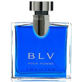 Заказать мужскую парфюмерию BLV Pour Homme 3362 BLV Pour Homme 3362 фото