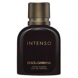 Заказать мужскую парфюмерию Dolce and Gabbana Pour Homme Intenso 5753 Dolce and Gabbana Pour Homme Intenso 5753 фото