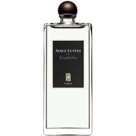 L`orpheline 6655 