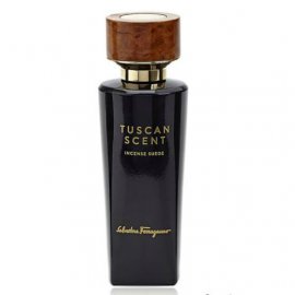 Заказать парфюмерию унисекс Tuscan Scent Incense Suede 8264 Tuscan Scent Incense Suede 8264 фото