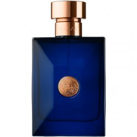 Заказать мужскую парфюмерию Versace Pour Homme Dylan Blue 9053 Versace Pour Homme Dylan Blue 9053 фото