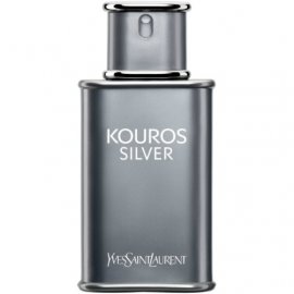 Заказать мужскую парфюмерию Kouros Silver 9159 Kouros Silver 9159 фото