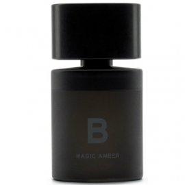 Заказать парфюмерию унисекс The Black Series B Magic Amber 9355 The Black Series B Magic Amber 9355 фото