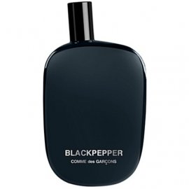 Заказать парфюмерию унисекс Blackpepper 10041 Blackpepper 10041 фото