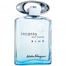 Заказать мужскую парфюмерию Incanto Pour Homme Blue 10674 Incanto Pour Homme Blue 10674 фото