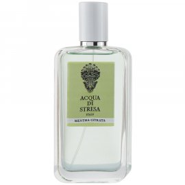 Заказать парфюмерию унисекс Mentha Citrata 10848 Mentha Citrata 10848 фото