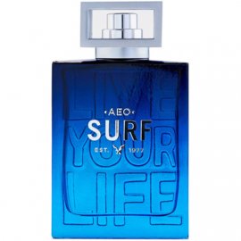 Заказать мужскую парфюмерию AEO Surf 11001 AEO Surf 11001 фото