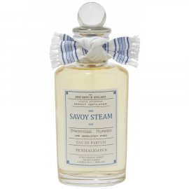 Заказать парфюмерию унисекс Savoy Steam 20551 Savoy Steam 20551 фото