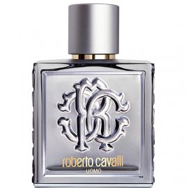 Заказать мужскую парфюмерию Roberto Cavalli Uomo Silver Essence 20723 Roberto Cavalli Uomo Silver Essence 20723 фото