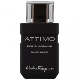 Заказать мужскую парфюмерию Attimo Black Musk Pour Homme 20817 Attimo Black Musk Pour Homme 20817 фото