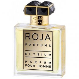 Заказать мужскую парфюмерию Elysium Pour Homme Parfum 21264 Elysium Pour Homme Parfum 21264 фото