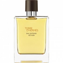 Заказать мужскую парфюмерию Terre D`Hermes Eau Intense Vetiver 21455 Terre D`Hermes Eau Intense Vetiver 21455 фото