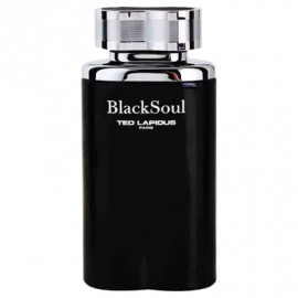 Заказать мужскую парфюмерию Black Soul 34618 Black Soul 34618 фото