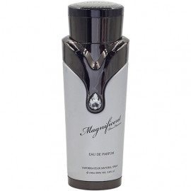 Заказать мужскую парфюмерию Magnificent Pour Homme 34996 Magnificent Pour Homme 34996 фото