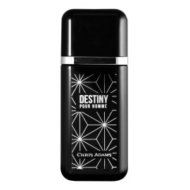 Destiny 42717 