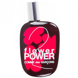 Заказать женскую парфюмерию Comme des Garcons 2 Flower Power 43870 Comme des Garcons 2 Flower Power 43870 фото