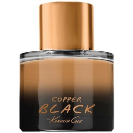 Заказать мужскую парфюмерию Copper Black 44732 Copper Black 44732 фото