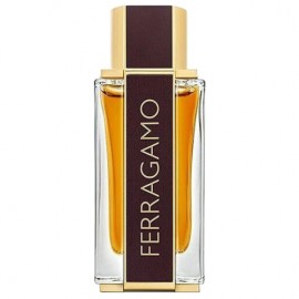 Ferragamo Spicy Leather 45583 ����