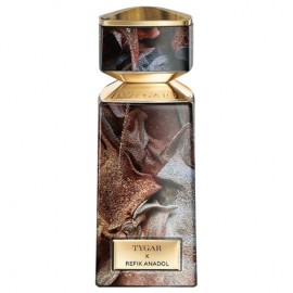 Tygar x Refik Anadol 45624 ����