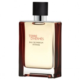 Terre d�Hermes Intense 45943 ����