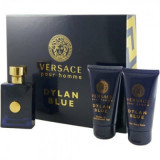 Заказать мужскую парфюмерию Versace Pour Homme Dylan Blue 9053 Versace Pour Homme Dylan Blue 9053 фото