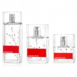 Заказать женскую парфюмерию In Red Eau de Toilette 65 In Red Eau de Toilette 65 фото