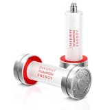 Champion Energy 298 
