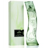 Cafe-Cafe Green 1280 