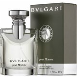 Заказать мужскую парфюмерию Bvlgari Pour Homme 2382 Bvlgari Pour Homme 2382 фото