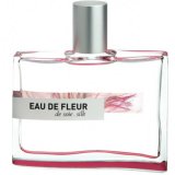 Заказать женскую парфюмерию Eau de Fleur de Soie Silk 2722 Eau de Fleur de Soie Silk 2722 фото