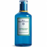 Заказать парфюмерию унисекс Blu Mediterraneo Cipresso di Toscana 2814 Blu Mediterraneo Cipresso di Toscana 2814 фото