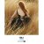 Заказать женскую парфюмерию Yohji Senses 2013 3243 621 Yohji Senses 2013 3243 фото 621