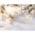 Заказать женскую парфюмерию Nina Snow Princess 3466 801 Nina Snow Princess 3466 фото 801