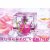 VV Rose 3471  815