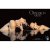 Obsession Night Woman 3515  872