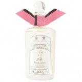 Night Scented Stock 4631 