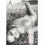 Заказать женскую парфюмерию TL Pour Elle 4960 1945 TL Pour Elle 4960 фото 1945