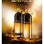 Montale Rose Night 5643  2206