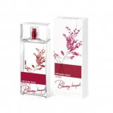 In Red Blooming Bouquet 6559 