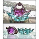 Water Flover 7791 