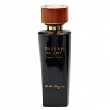 Tuscan Scent Golden Acacia 8260 