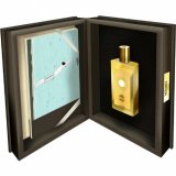 Shams Narcissus 9545 